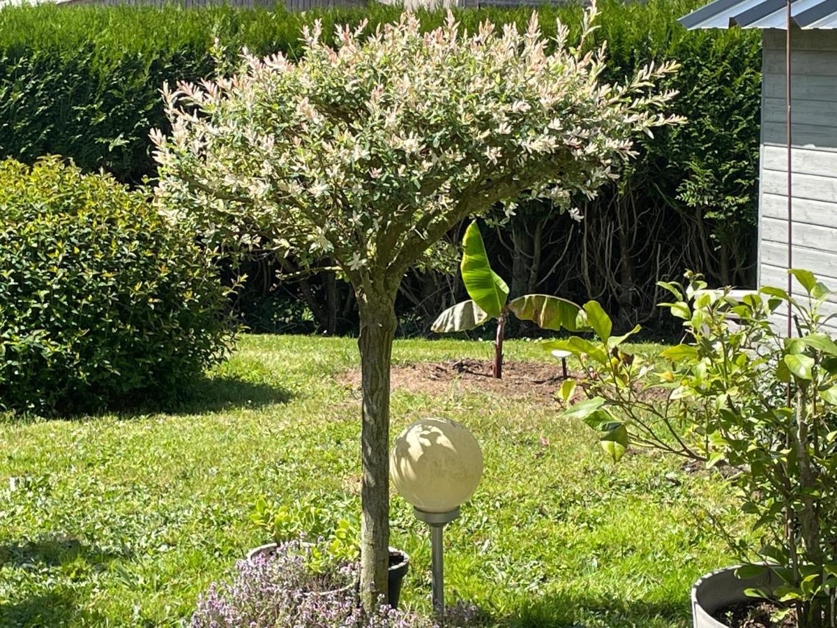 Le Doux Refuge Bed & Breakfast Esquay-sur-Seulles Exterior photo
